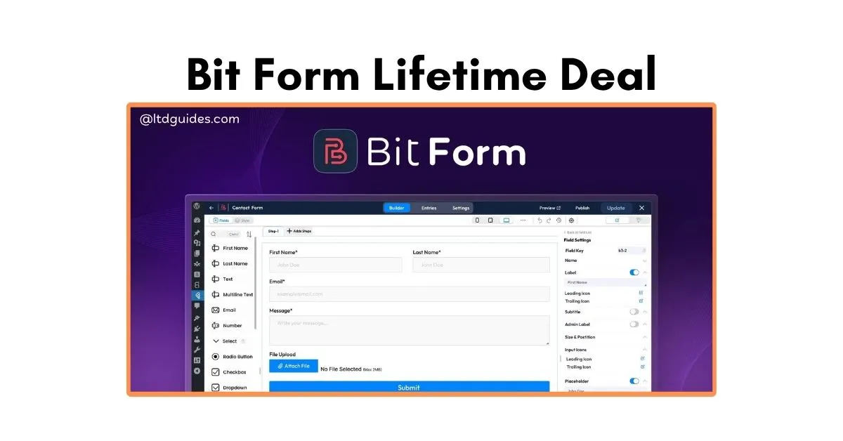 Bit Form Lifetime Deal