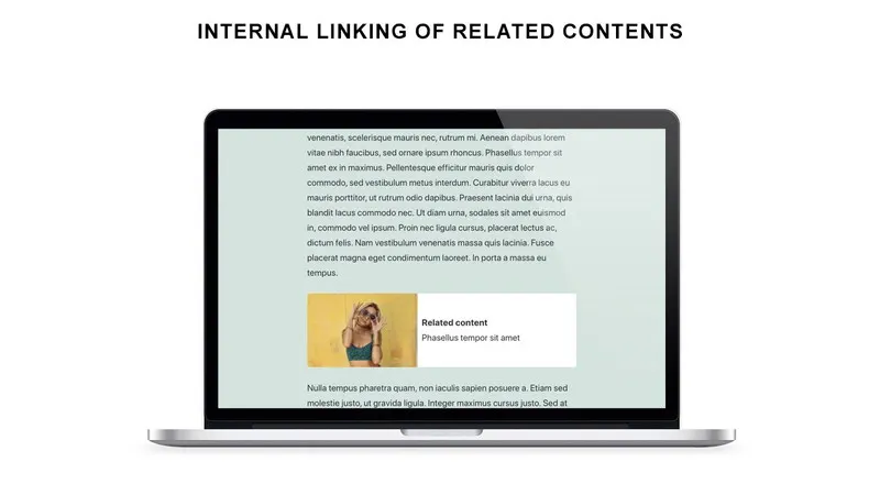 Internal Linking Related Contents Lifetime Deal