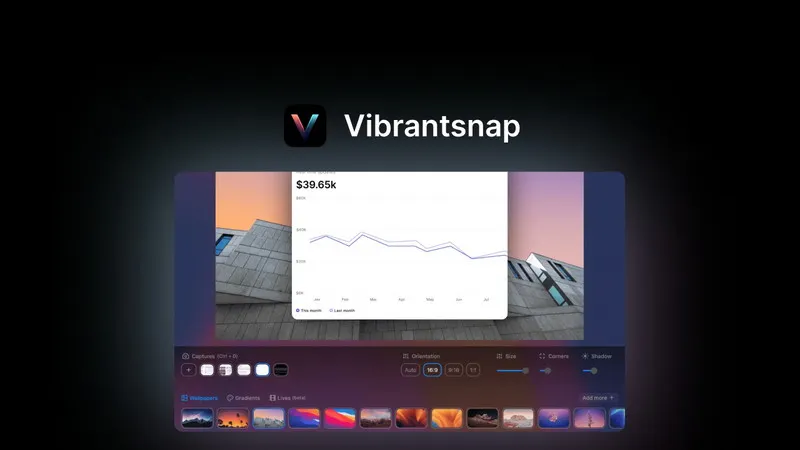 Vibrantsnap Lifetime Deal