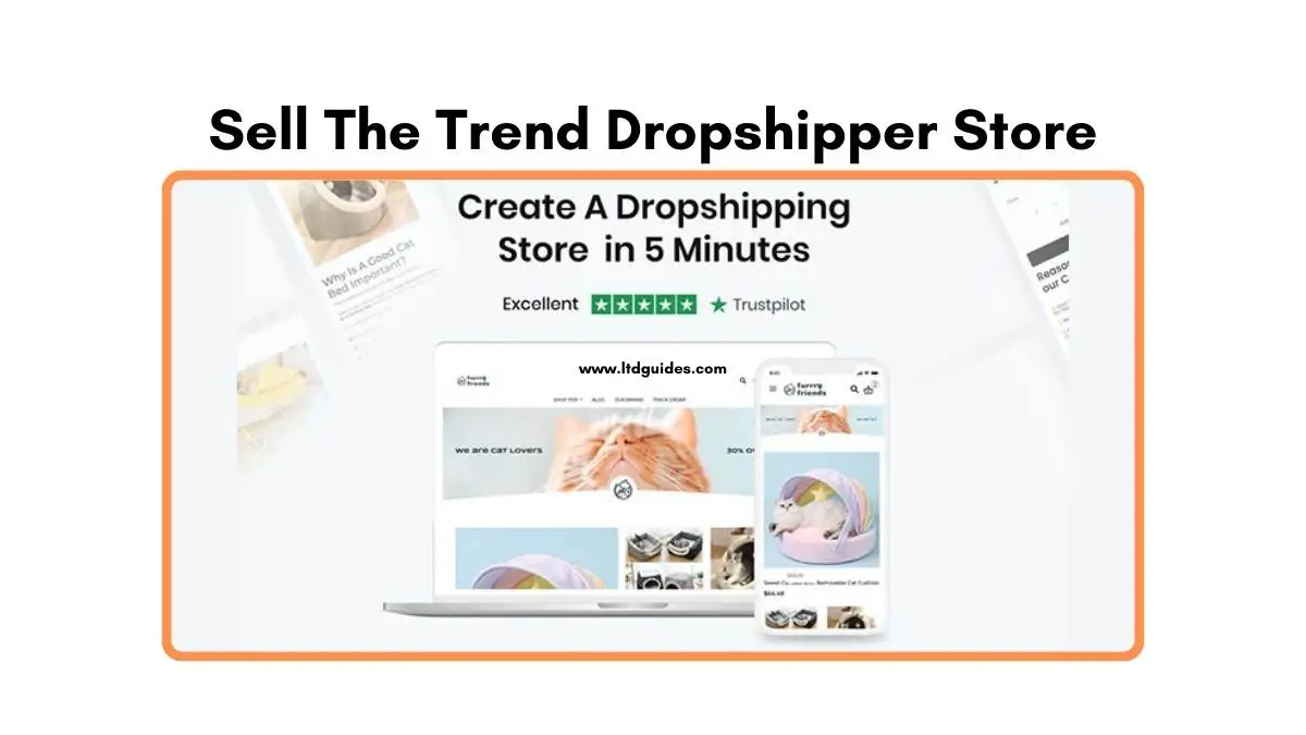 Sell The Trend Dropshipper Store