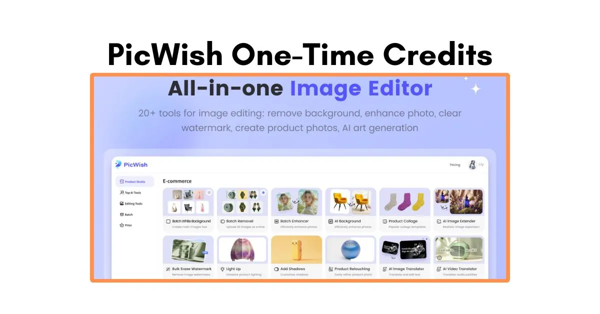 PicWish One Time Credits